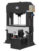 Внешний вид Гидравлический пресс Stalex HP-100 фото