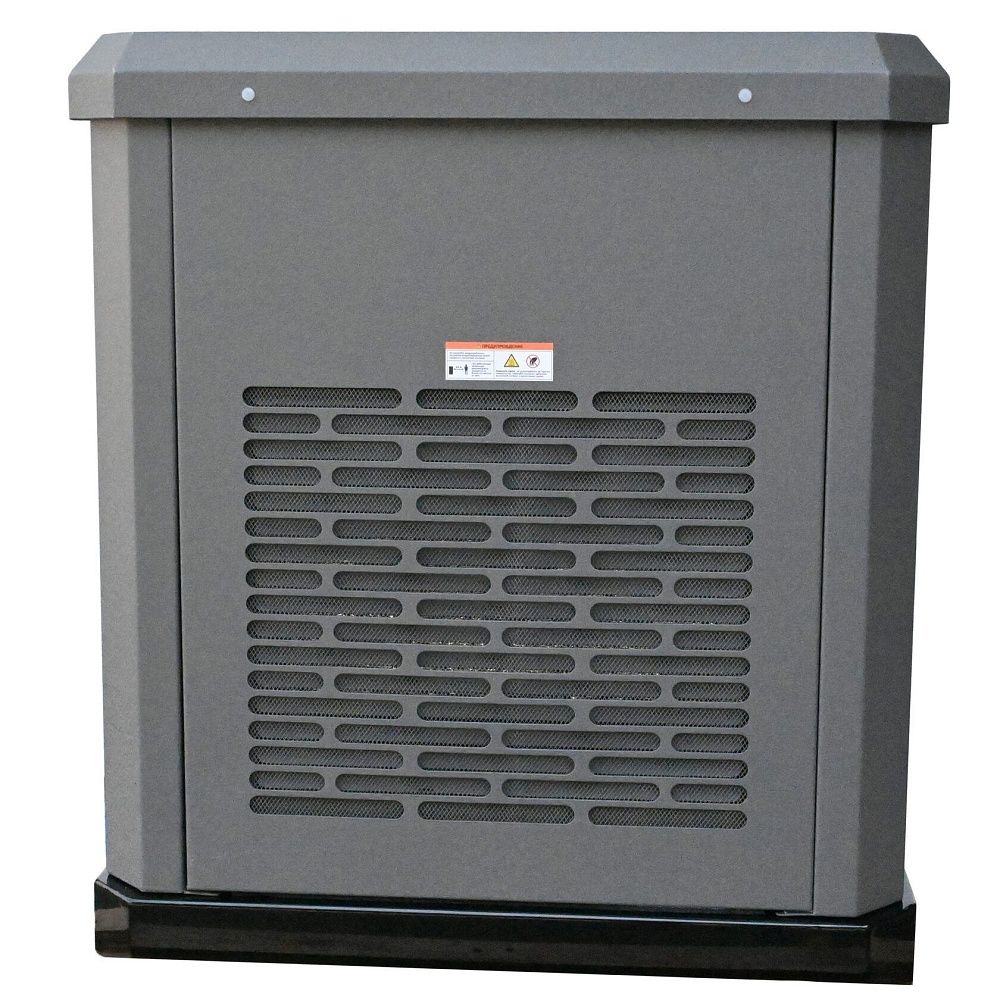 Генератор газовый EVOline GNG 19000 E